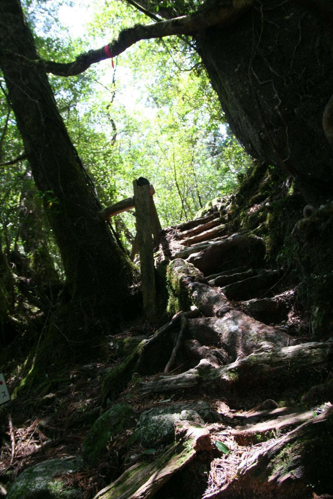 Hotel Yakunoyado Taguchi Yakushima  Zewnętrze zdjęcie
