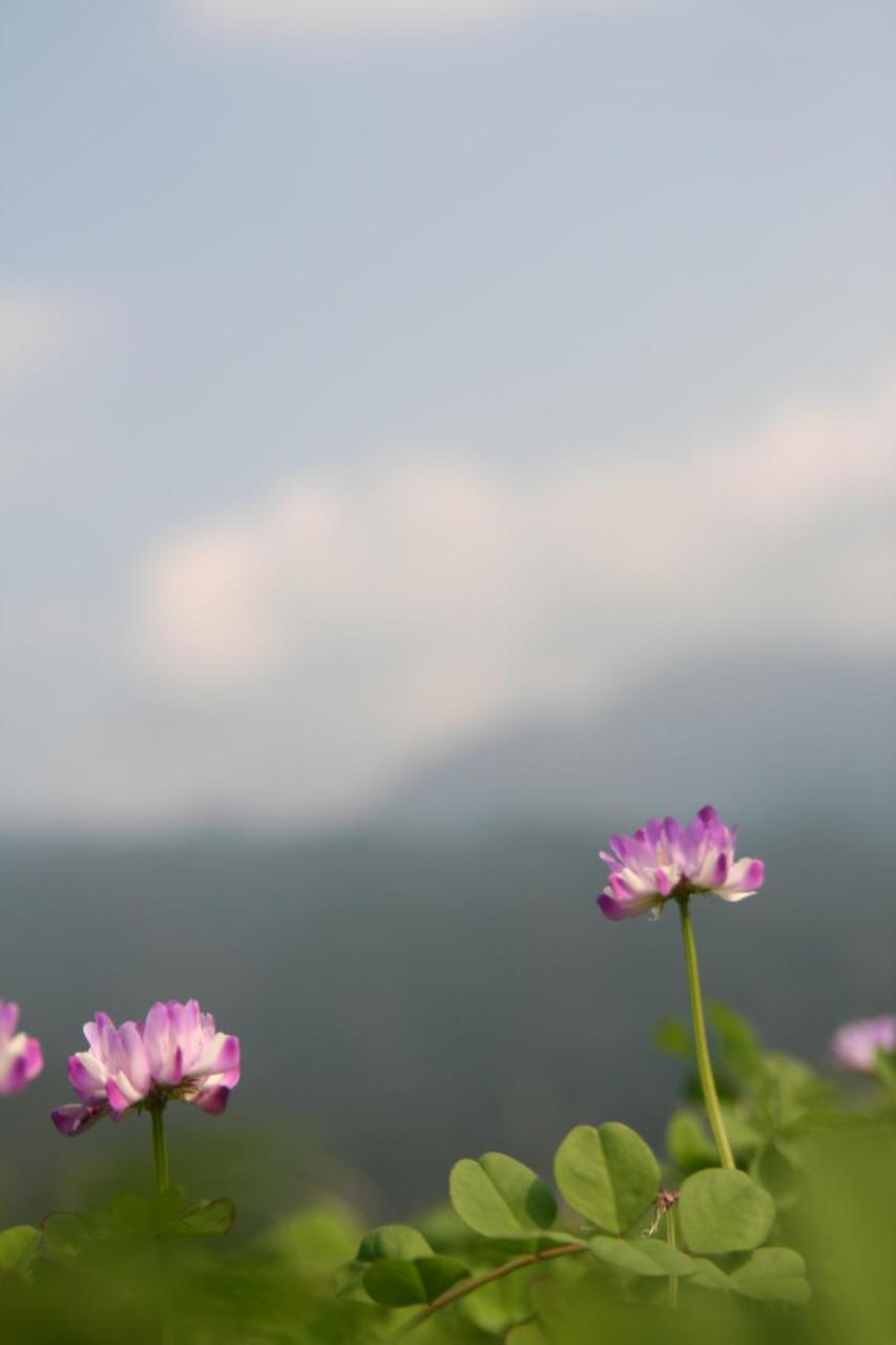 Hotel Yakunoyado Taguchi Yakushima  Zewnętrze zdjęcie